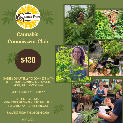 Cannabis  Connoisseur Club