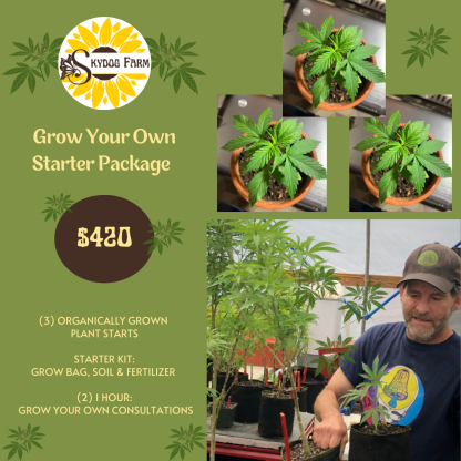 Grow Your Own: Cannabis Starter Package