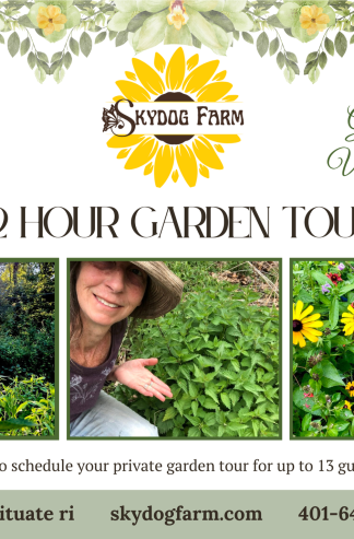 Rewild Your Senses: Private Garden Tour