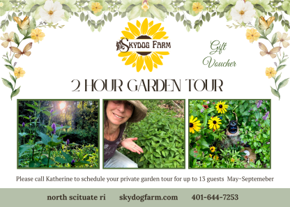 Rewild Your Senses: Private Garden Tour