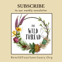 1. Subscribe to newsletter