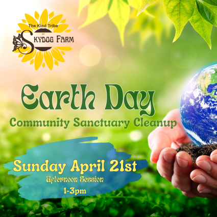 Afternoon Session Earth Day Cleanup 2024
